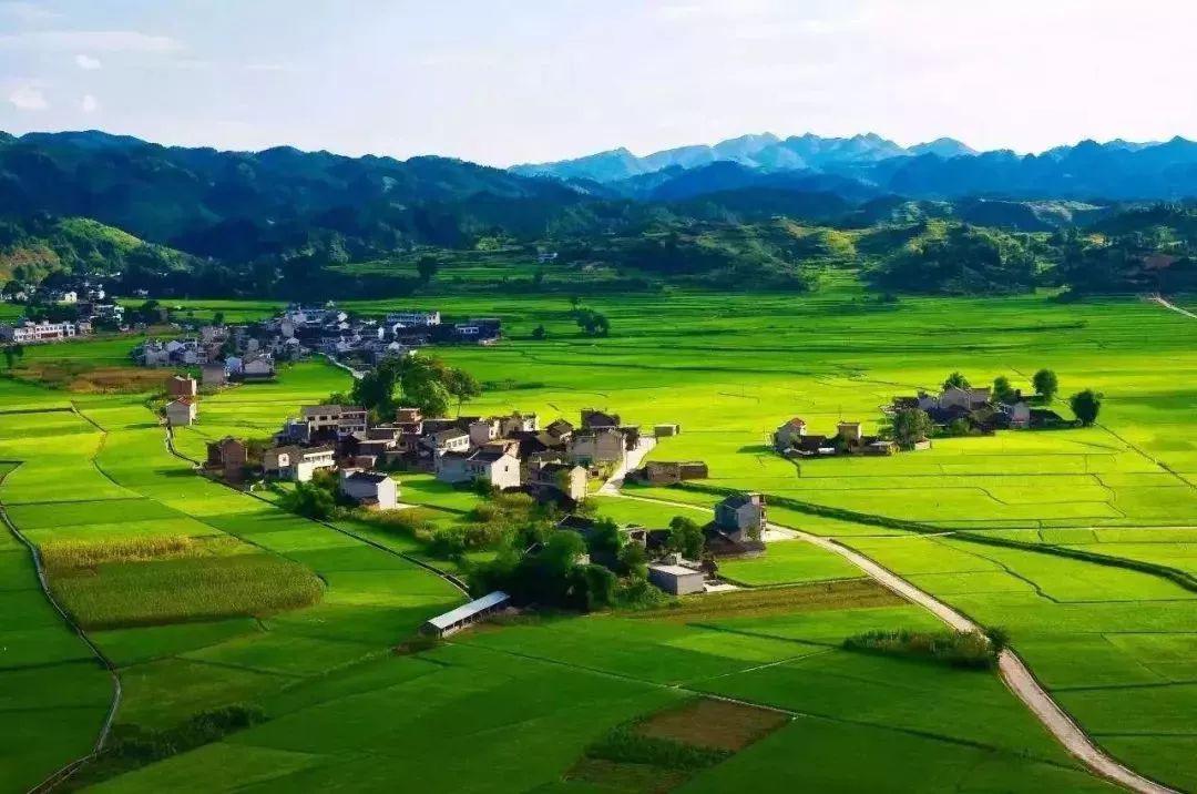 鄉(xiāng)村振興的外延.jpeg 鄉(xiāng)村振興的外延.jpeg