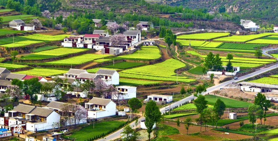 宅基地可以買(mǎi)賣(mài)嗎.png 宅基地可以買(mǎi)賣(mài)嗎.png
