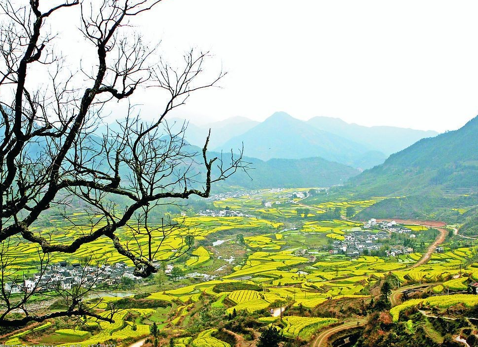 農(nóng)村繳納社保劃算嗎,對(duì)自己有什么好處?.png 農(nóng)村繳納社保劃算嗎,對(duì)自己有什么好處?.png