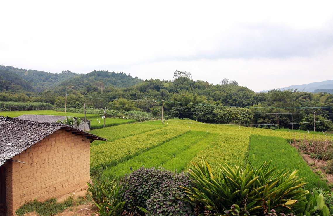 農(nóng)村土地買賣合同是否有效 (2).png 農(nóng)村土地買賣合同是否有效 (2).png