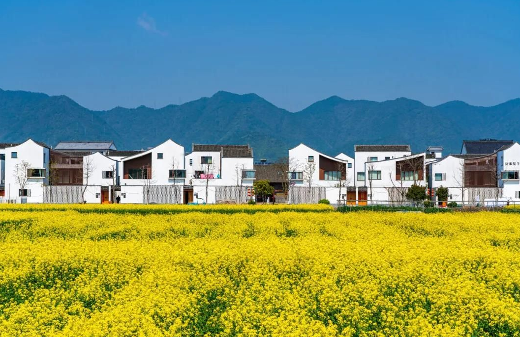 農(nóng)村土地糾紛找哪個(gè)部門解決.png 農(nóng)村土地糾紛找哪個(gè)部門解決.png